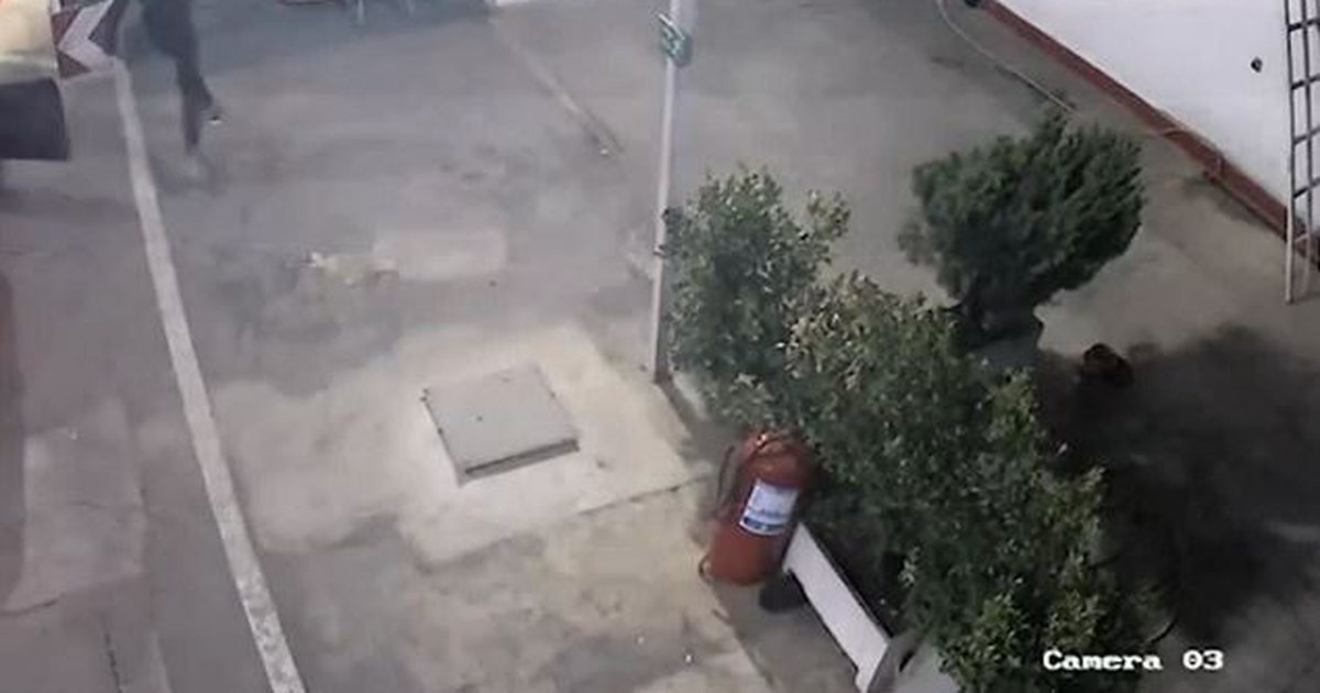 Grabitet karburanti në Elbasan  autorët e maskuar marrin xhiron ditore