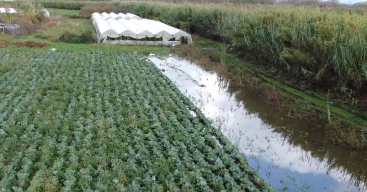 Humbjet e fermerëve  dëmet nga përmbytjet  Ekspertët  nëse shiu nuk pushon për 5 ditë  tokat nuk mund të mbillen më