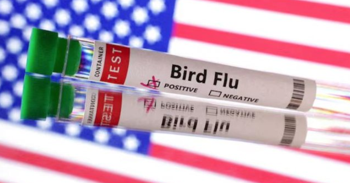 Viktima e parë nga gripi i shpendëve  Banori u diagnostikua me variantin H5N5