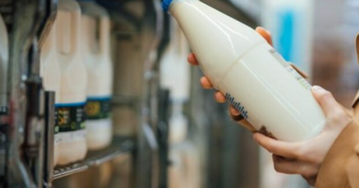 Keni blerë djathë apo qumësht në rrugë  Eksperti zbulon analizat  Ja bakteri vdekjeprurës që u gjet  fatal për jetën