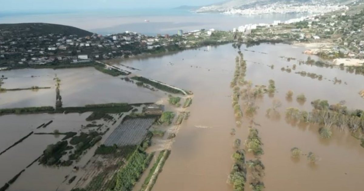 Katastrofë në Sarandë  Çarja e argjinaturës përmbyt stallat  700 krerë bagëti të imta të mbytura