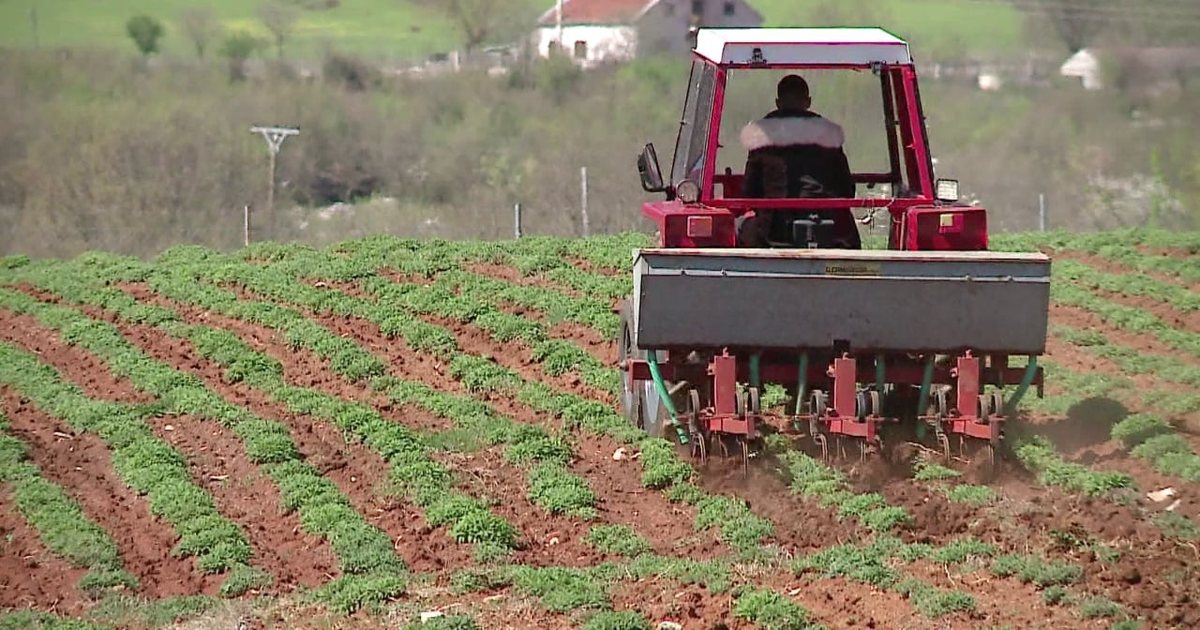 Skandal në AZHBR  Babai hartoi projektin fitues ndërsa vajza inspektore e firmosi