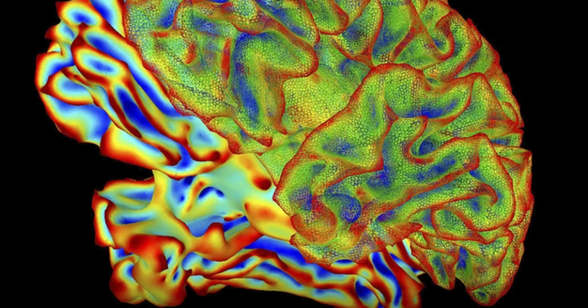 IA dëshifron trurin duke shndërruar mendimet në tekst