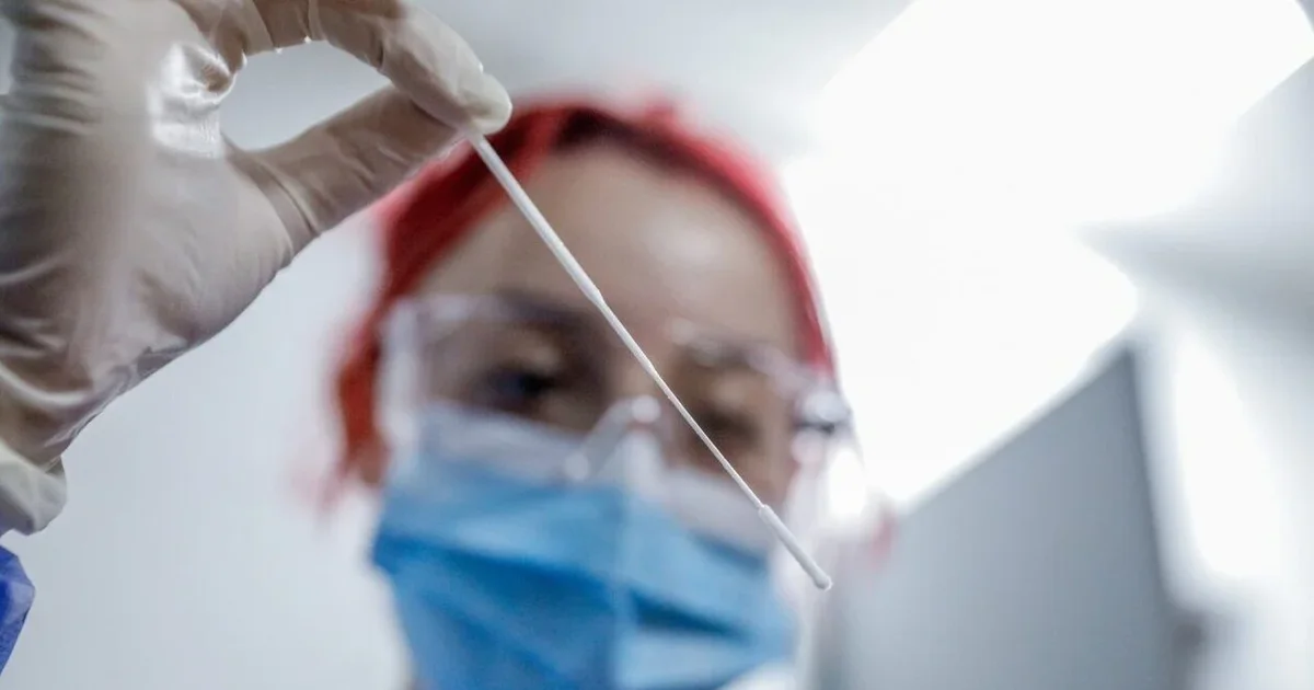 Gripi i shpendëve  ekspertët e shëndetit të shqetësuar  Mund të sjellë një pandemi më të keqe se koronavirusi