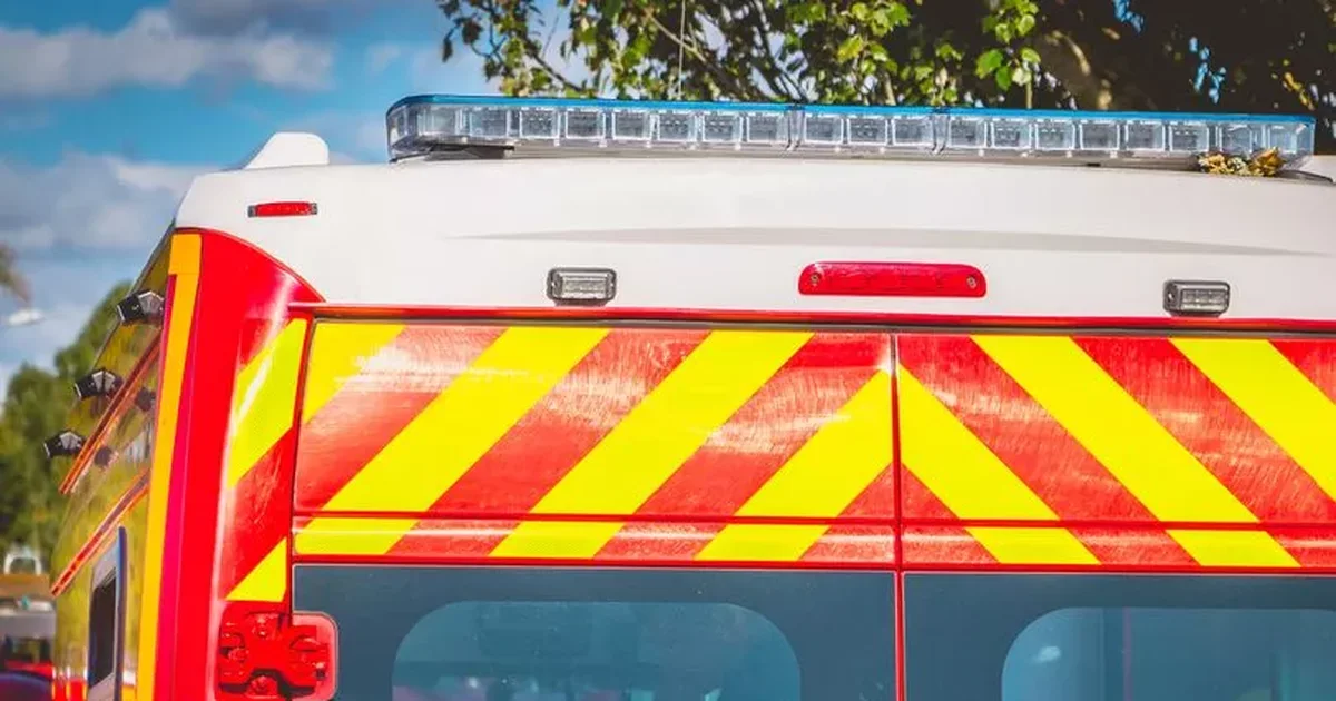 TRAGJIKE 9 vjeçari qëllon veten aksidentalisht në KOKË pasi gjeti një armë në shtëpinë e 