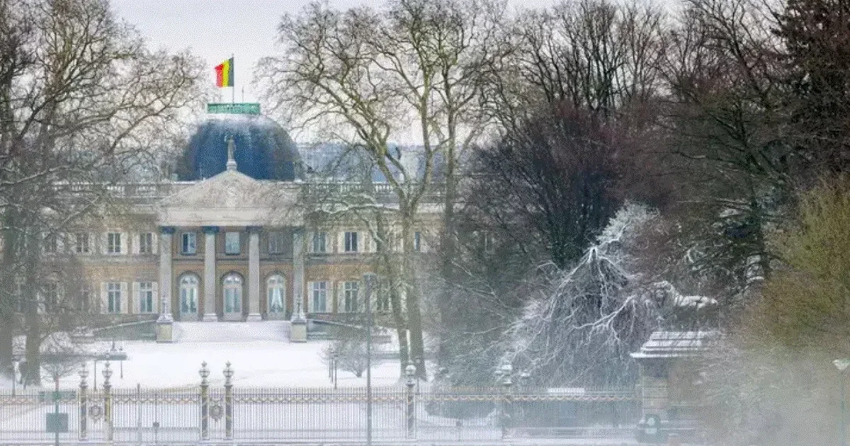 Vala e të ftohtit përfshin Evropën  Anulohen 800 fluturime në Amsterdam  Parisi mbulohet nga dëbora