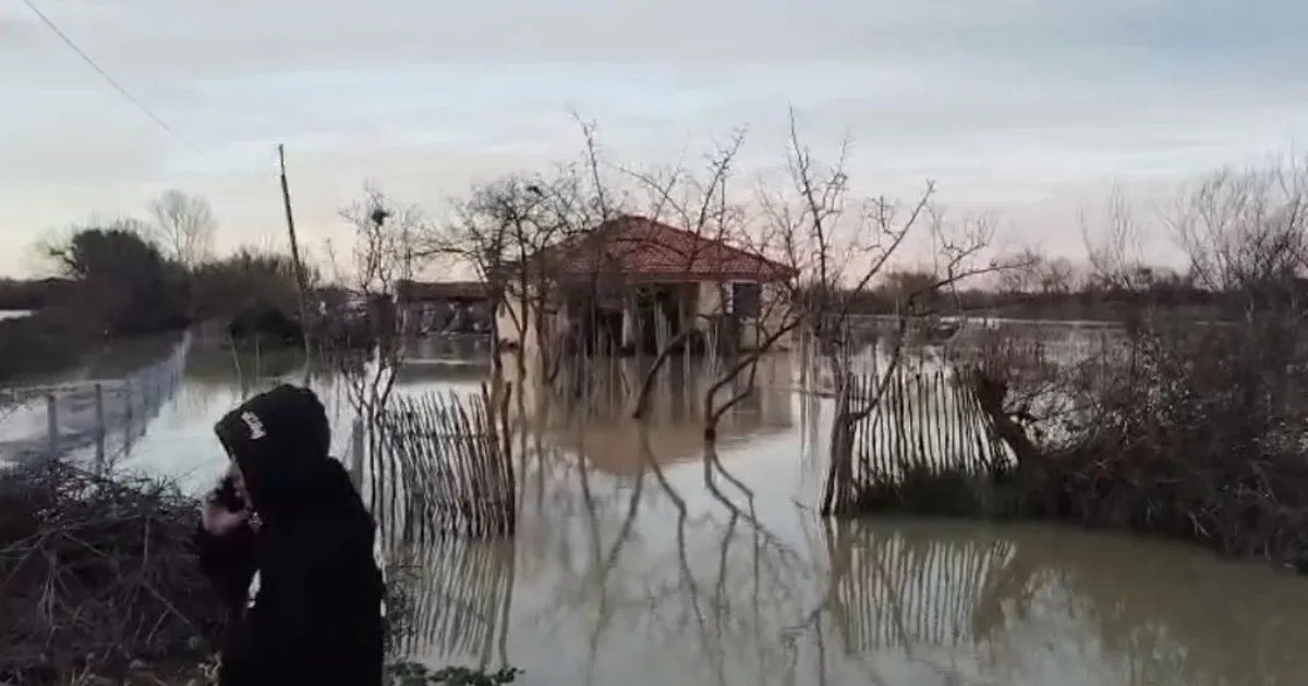 Çahet argjinatura e Semanit  përmbyten tokat bujqësore në disa fshatra të Fierit