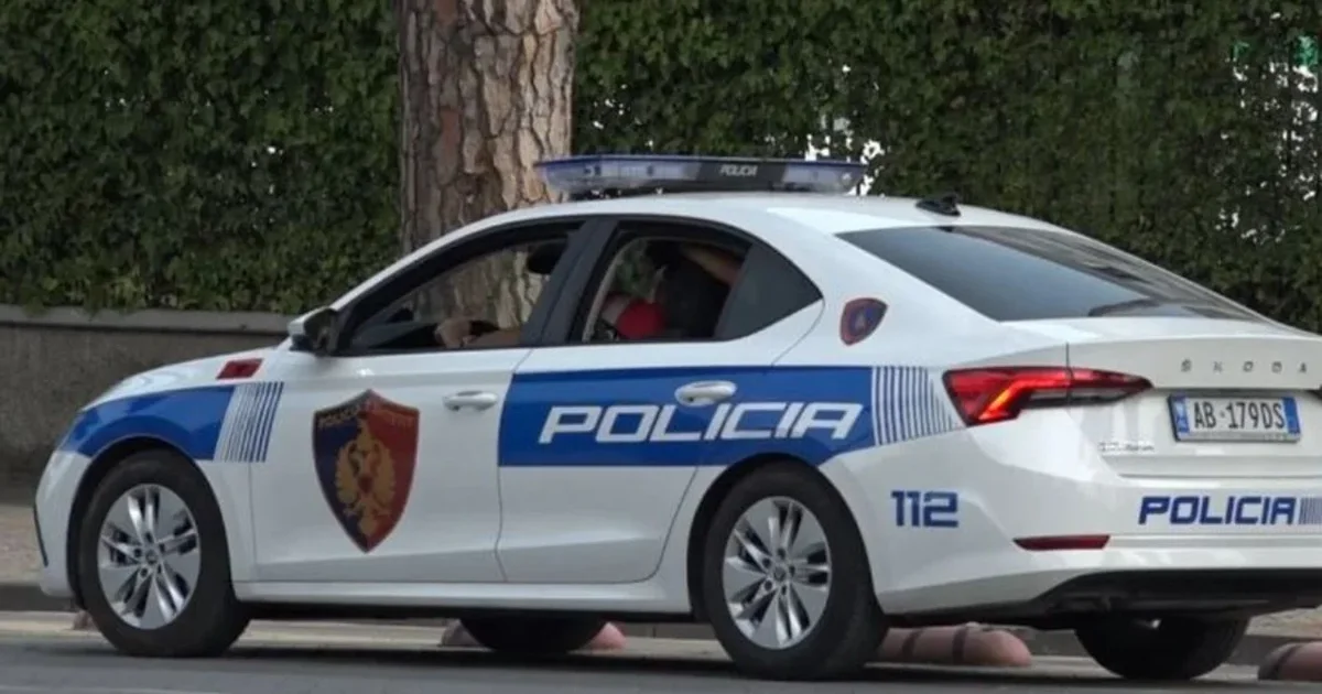 Plagosja e të riut me armë në zonën e Freskut  arrestohet pas disa muajsh në kërkim autori