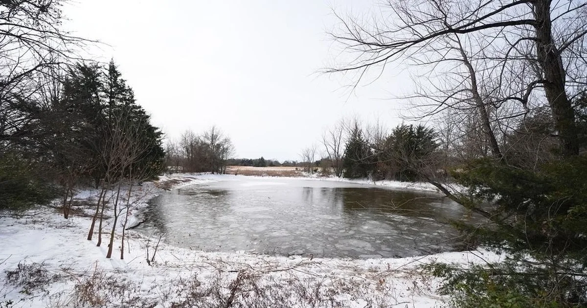 Tragjike në SHBA  3 vëllezër mbyten në një liqen  Akulli u thye teksa bënin patinazh