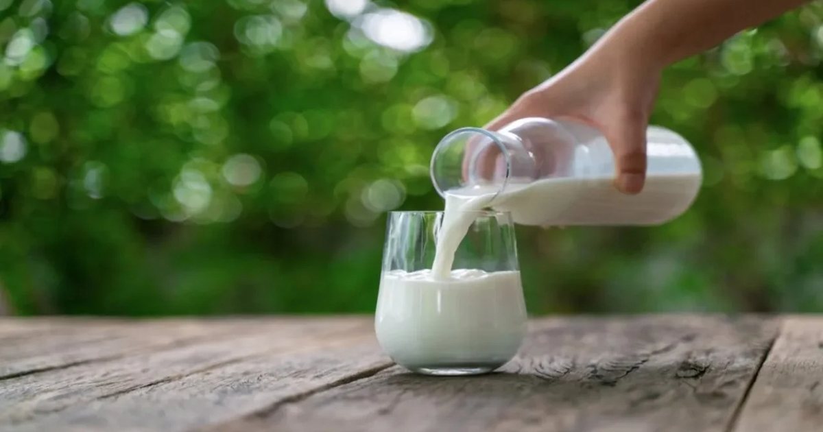 Qumështi më i shtrenjtë në rajon por fermeri shqiptar fiton më pak  Shkaku  Subvencionet më të ulëta se në vendet fqinje