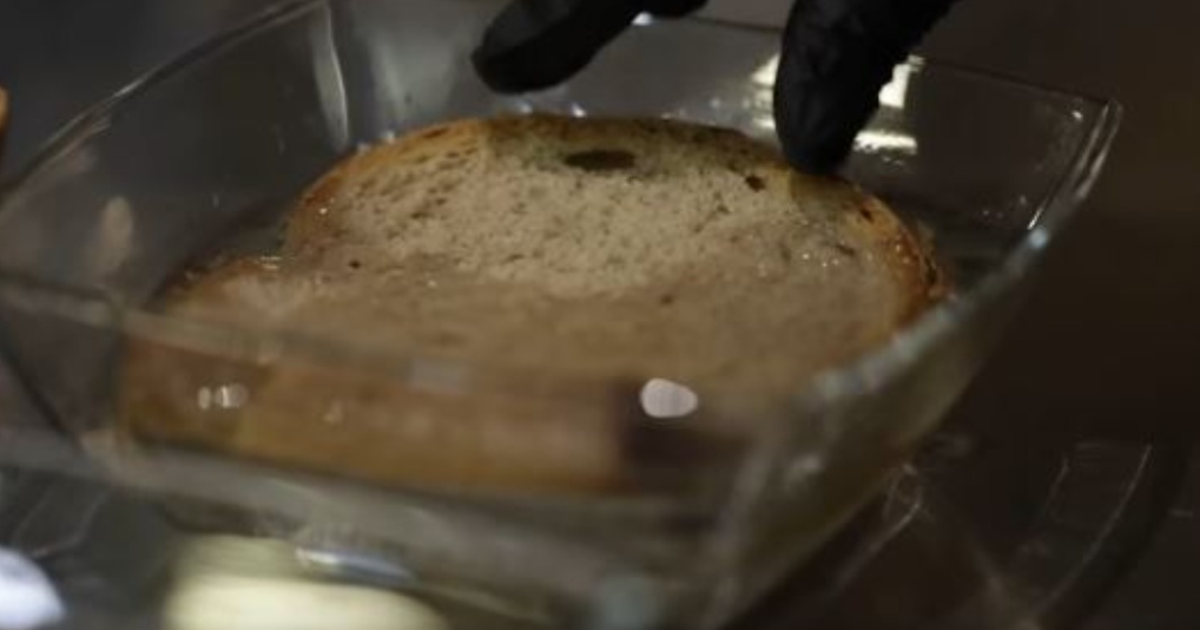 Buka e zezë dhe integrale ngjyrosin ujin  nga eksperimenti i thjeshtë tek vëzhgimi në furrat e bukës