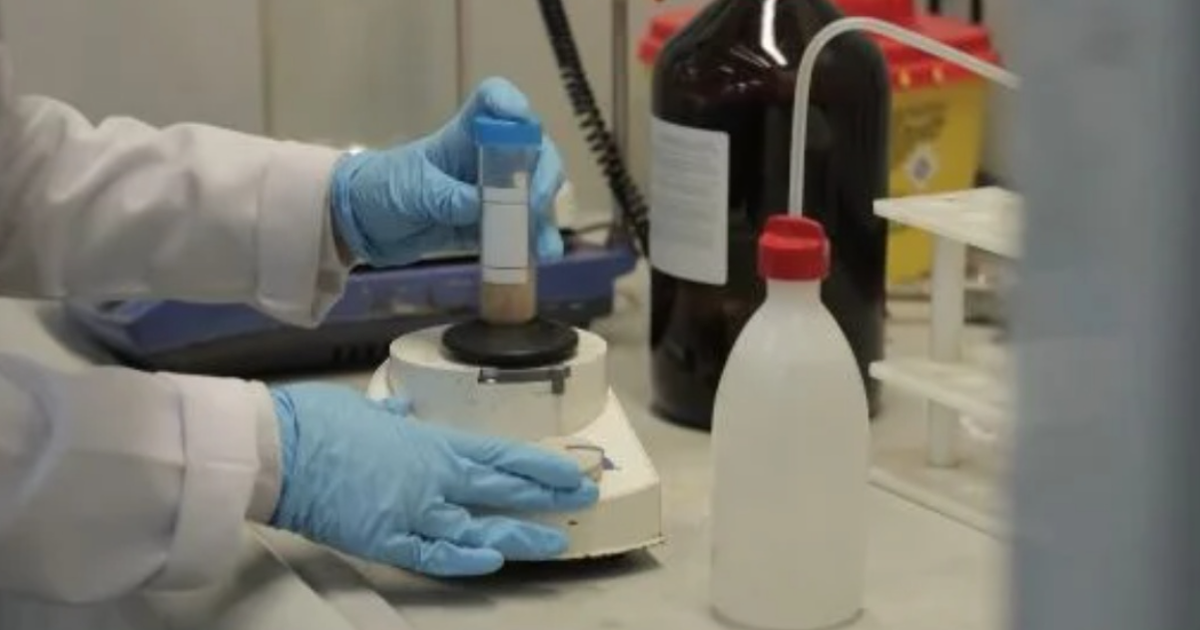 Zbulohet ARSENIK në bukët e furrave shqiptare  Ekspertët  Lënda toksike  përgjegjëse për kancer dhe sëmundje të tjera