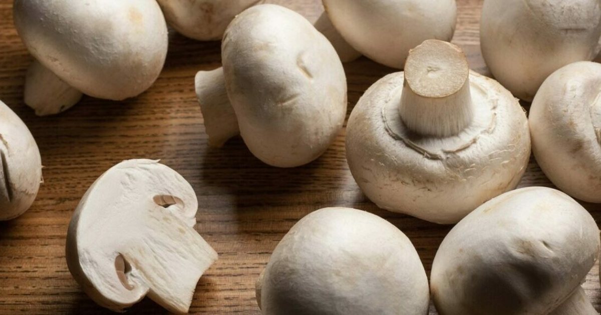 Tragjike  Konsumuan  kapelën e vdekjes   4 persona humbin jetën nga kërpudhat helmuese