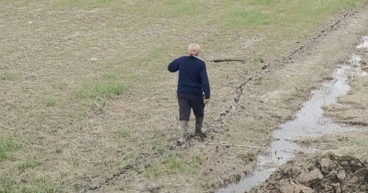 Blegtorët e Dimalit në krizë  përmbytjet u dëmtuan ushqimin e kafshëve  Nuk morëm asnjë ndihmë