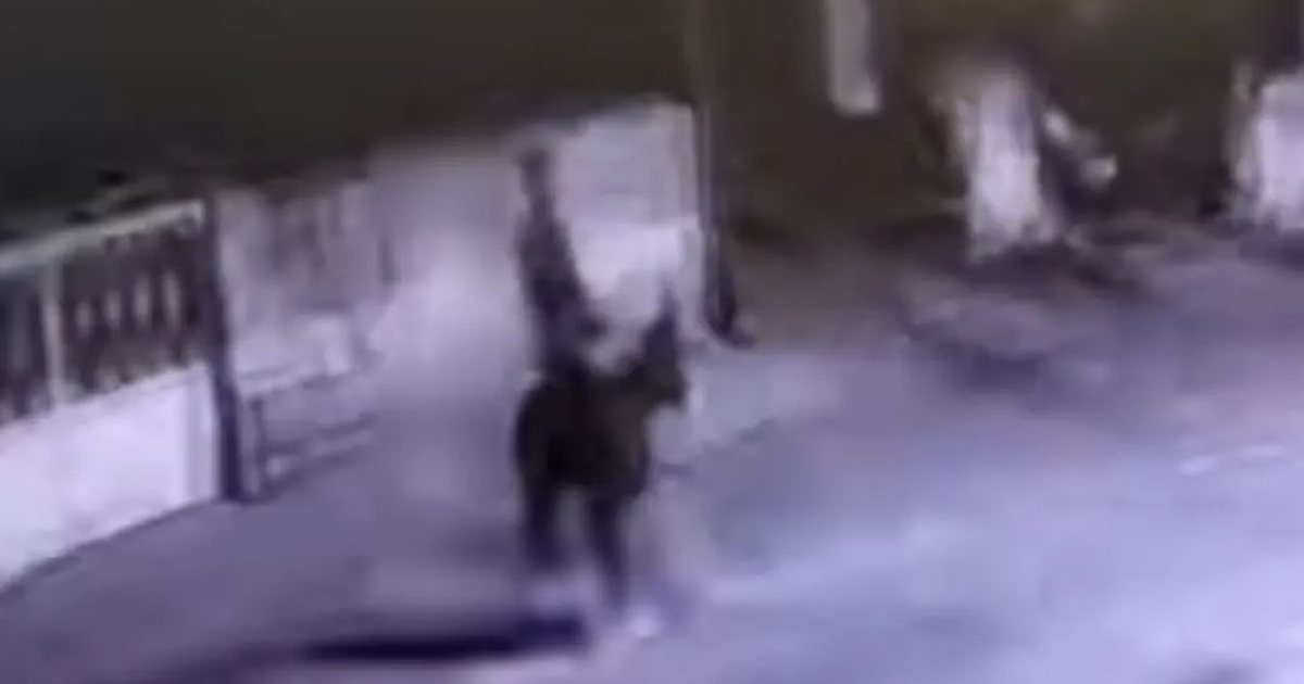 VIDEO  E pazakontë në Turqi  hajduti grabit argjendarinë dhe arratiset me  gomar  Shikoni pamjet