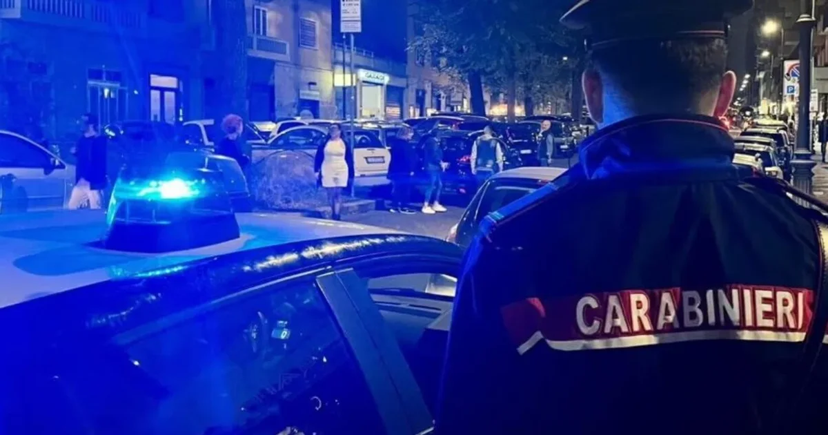 Vrau nënën dhe e varrosi pranë një pylli për t i marrë pensionin  zbardhet dëshmia e djalit në Itali  Kisha frikë se 