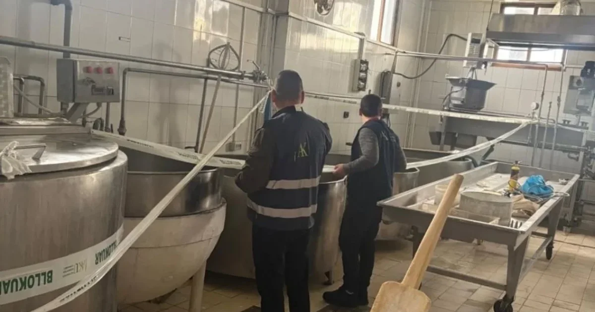 AKU  zbarkon  në baxhon në Fier  bllokohen mijëra kg produkte qumështi  nga gjalpi te mocarela e pasigurt për konsum