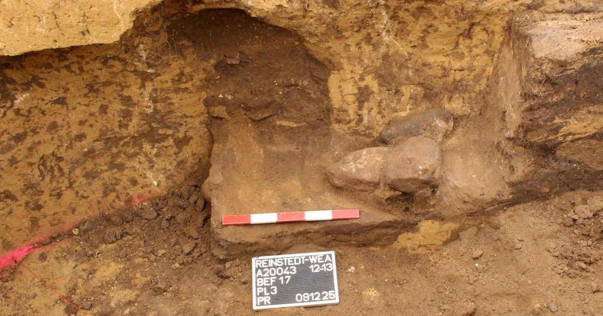 Zbulimi që po SHOKON botën  gjatë gërmimeve në një varr u gjend një   