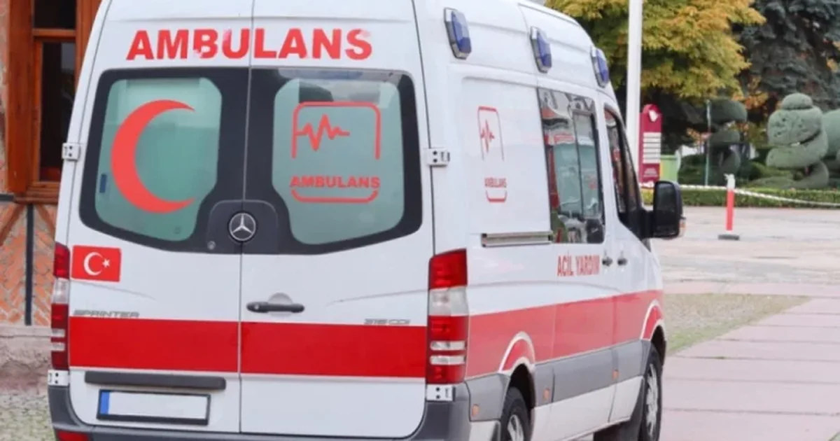 Sulm me thikë në Stamboll  Plagosen 6 persona  mes tyre 4 policë  Ndalohet autori  ishte nën efektin e drogës