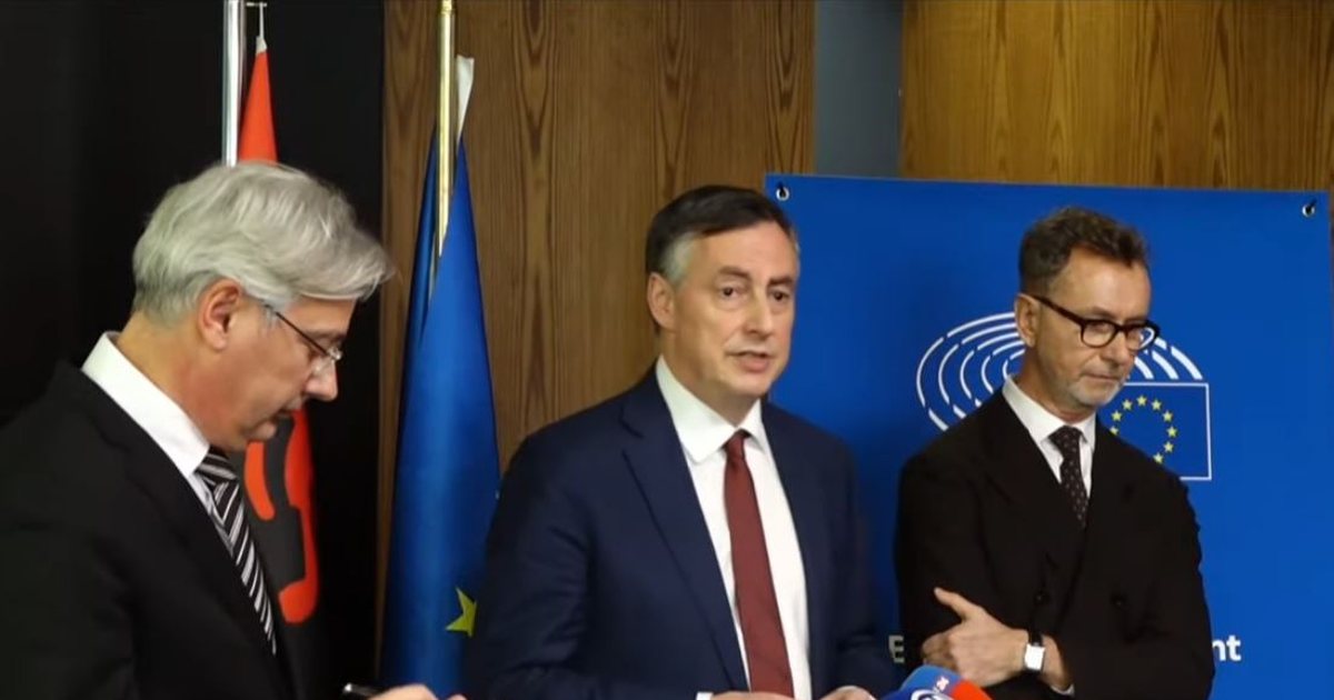  Politika të mos ndërhyjë në drejtësi   McAllister  Lufta kundër korrupsionit nuk është në nivelin e kënaqshëm