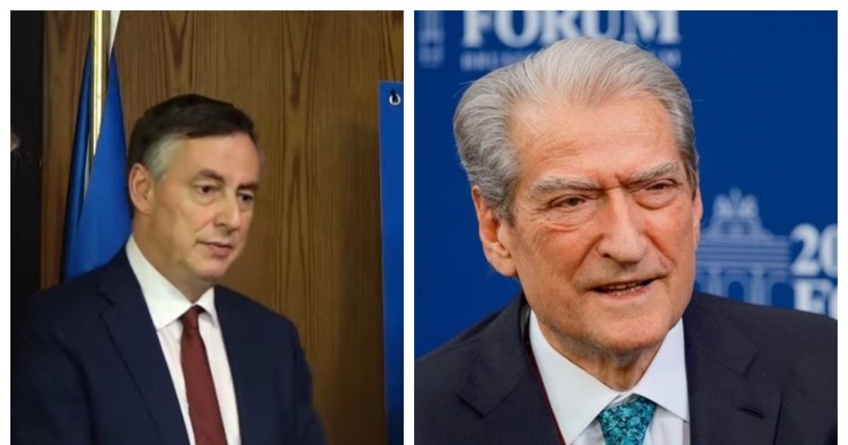 Përfaqësuesi i PE së pyetet nëse do e takojë Berishën  ja si përgjigjet McAllister