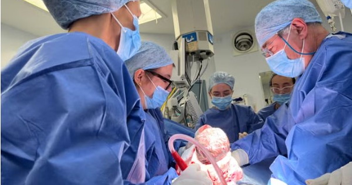 Britani  lind fëmija i parë nga mitra e një donatoreje të vdekur