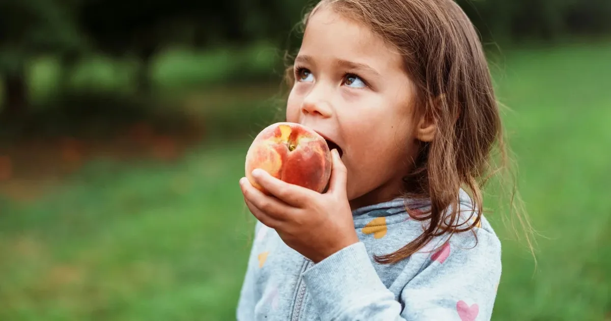 Dieta e pashëndetshme në moshë të hershme lë pasoja të zgjatura në funksionimin e trurit
