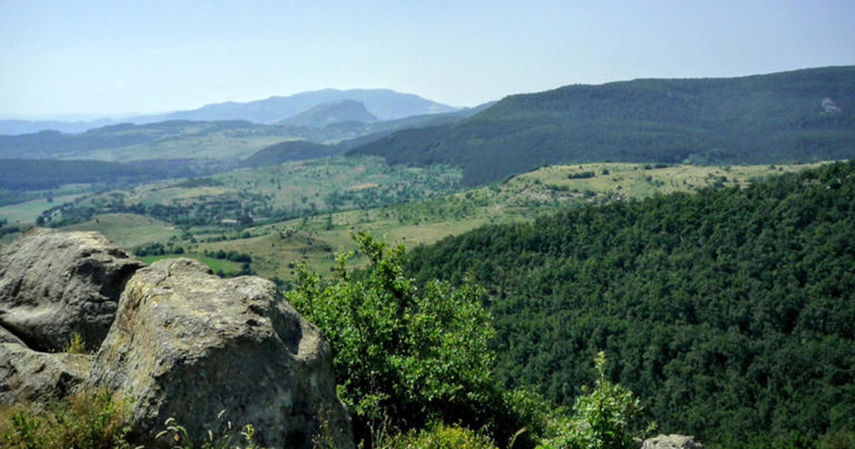 Një kontinent i fshehur rishfaqet  Ja si u rikthyer në sipërfaqe një fragment i zhytur
