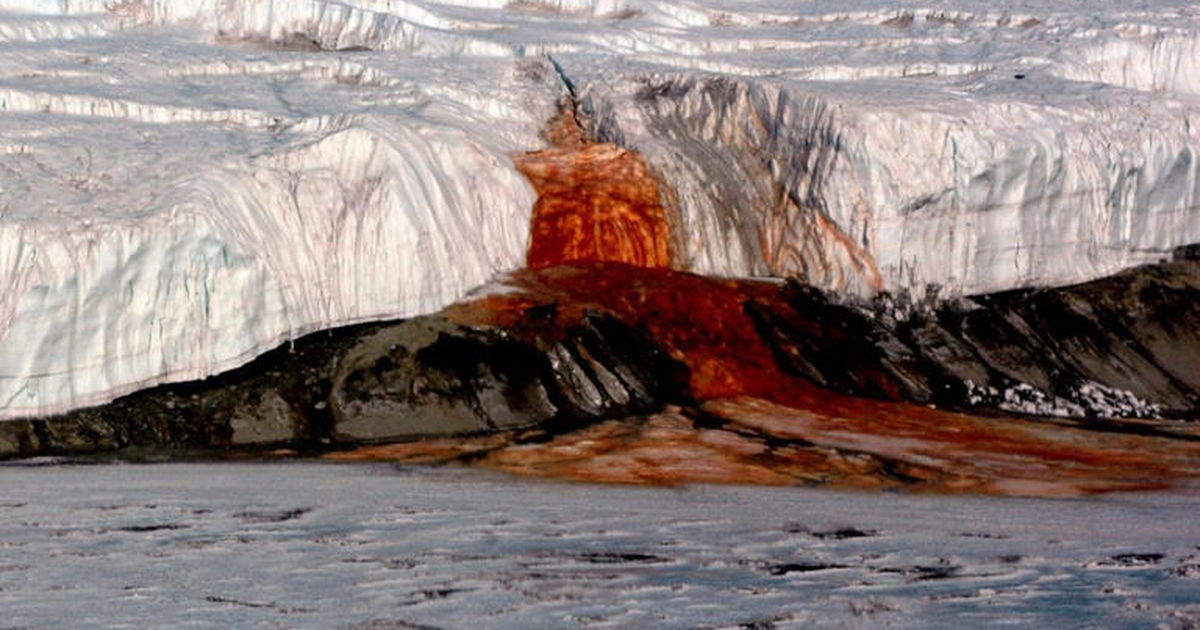 Një fenomen i frikshëm në Antarktidë  Si u krijuan Ujëvarat e Gjakut 