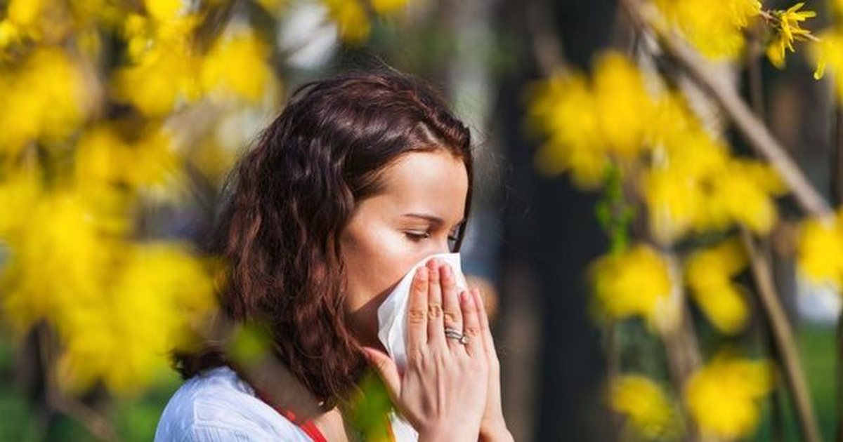 Vuani nga alergjitë e pranverës  Katër mënyra natyrale për të lehtësuar simptomat