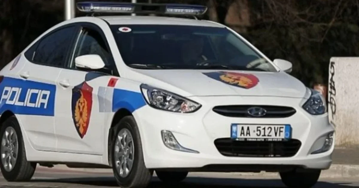 Vrau me armë zjarri qenin e një shtetasi  procedohet penalisht 35 vjeçari në Laç