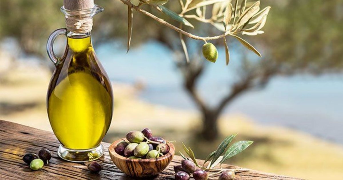 Çaji i gjetheve të ullirit  kura e lashtë mesdhetare që po rikthehet fuqishëm  Po pse 