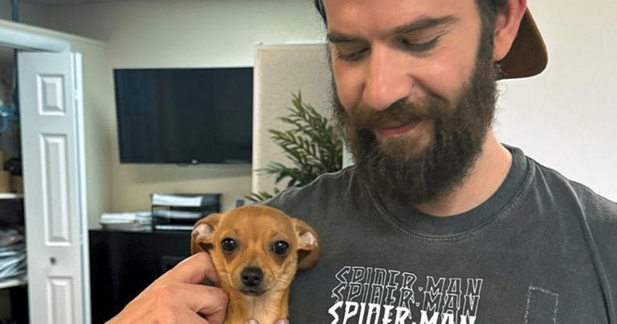  I dashuruar me chatbot in Gemini  vetëvritet duke ndjekur udhëzimet e AI  familja padit Google 