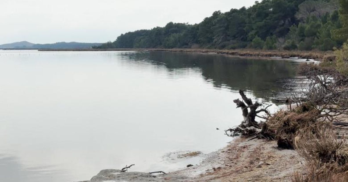 Vlorë  Narta e mbrojtur në  letër   s ndalet gjuetia e shpendëve