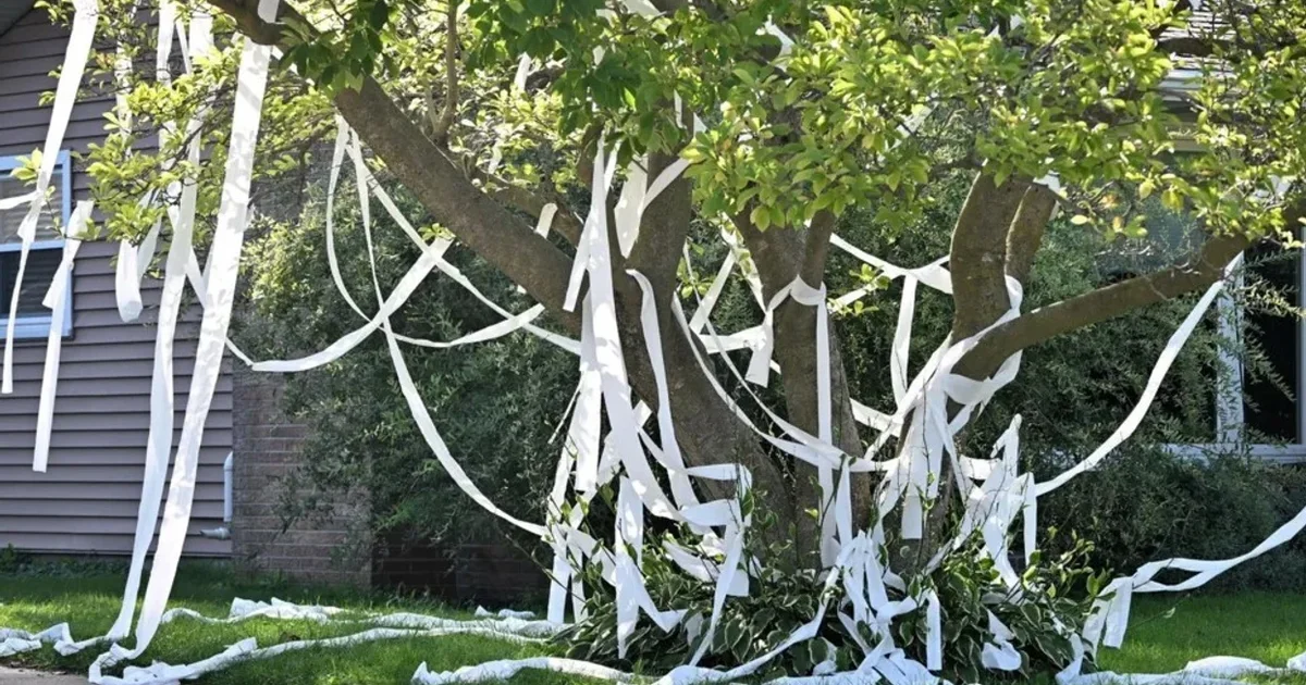 Një shaka e thjeshtë me letër higjienike përfundon në tragjedi për mësuesin në Georgia