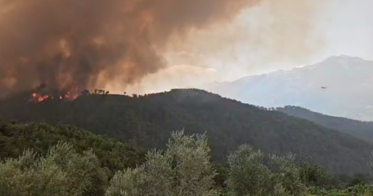 Zjarri masiv përfshin një sipërfaqe pyjore pranë fshatit Leshnicë në Pogradec  situata kritike