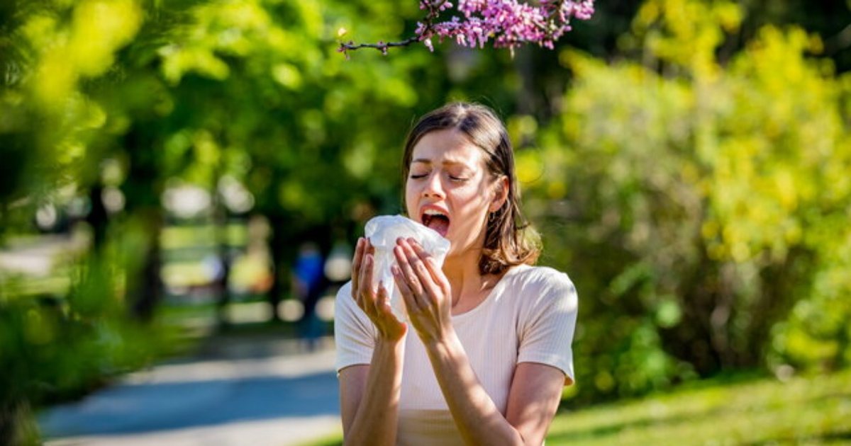 Alergjitë e pranverës po rikthehen  Si të parandaloni simptomat dhe të shijoni stinën