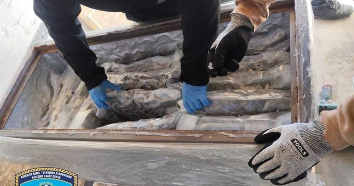 Goditet organizata greko shqiptare e trafikut në Greqi  219 kg kanabis kapen në Portin e Pireut 