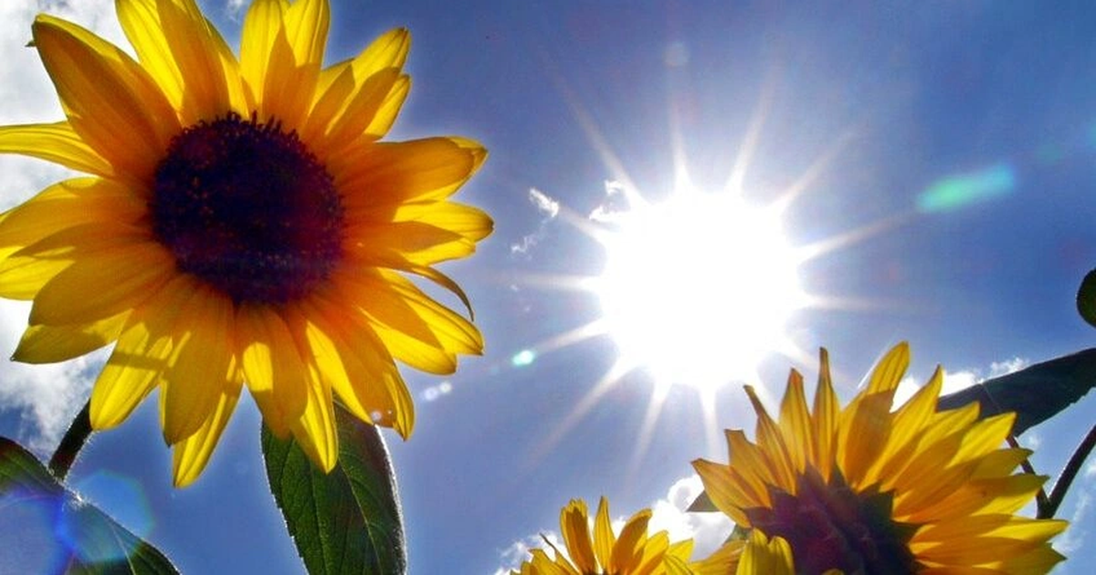 Ekuinoksi i Pranverës  Kur është Dita e Parë e Pranverës   Çfarë ndodh në Hemisferën Jugore 