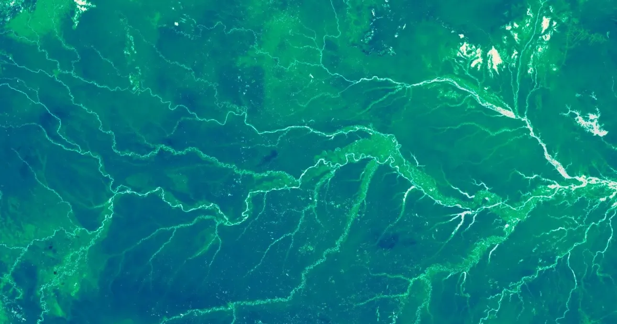 Shkencëtarët kanë  peshuar  bimësinë e planetit dhe po monitorojnë lëvizjet e saj në hartë