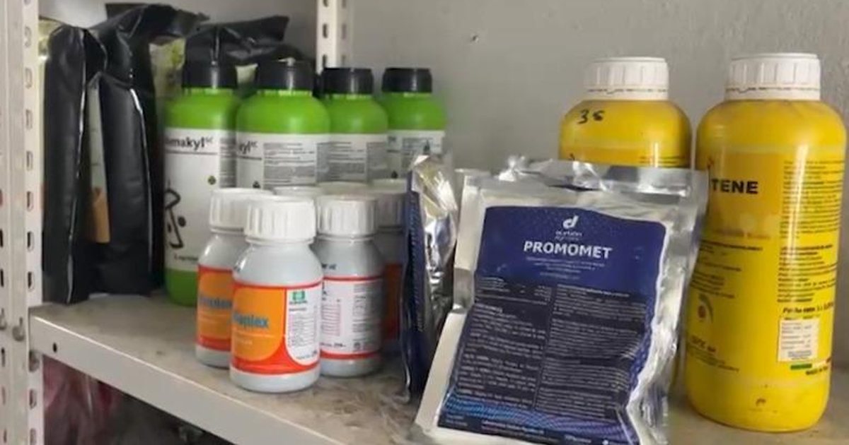 Çmimi i plehrave kimikë rritet me 1400 lek kuintal brenda muajit  fermerët  Nuk e përballojmë  Tregtarët   Faji  i luftës