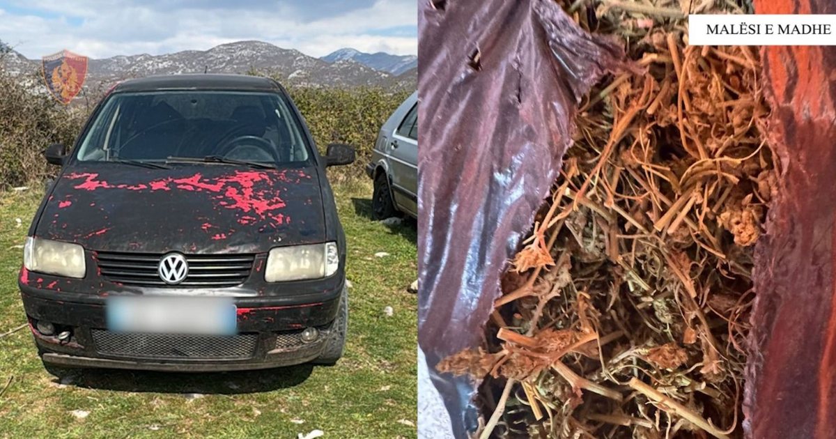 Vodhi 2 automjete  arrestohet 22 vjeçari në Malësinë e Madhe  Në pranga edhe 2 xhaxhallarët e tij  iu gjetën në banesë çifte dhe drogë