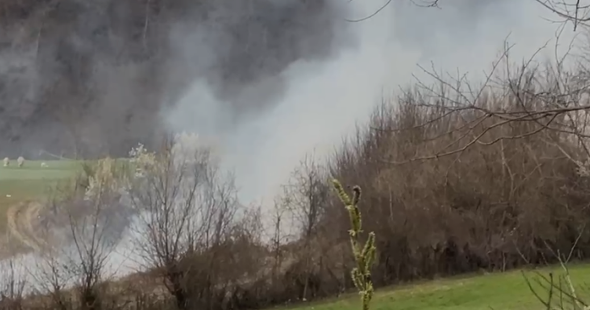 Rikthehen zjarret në Bulqizë  flakët përfshijnë zonën e Krajkës