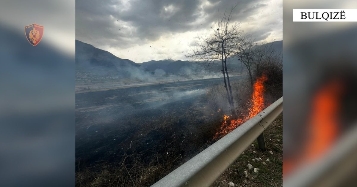 Ndezën zjarr në një sipërfaqe toke dhe dogjën 7 dynym bimësi  procedohen dy persona në Bulqizë