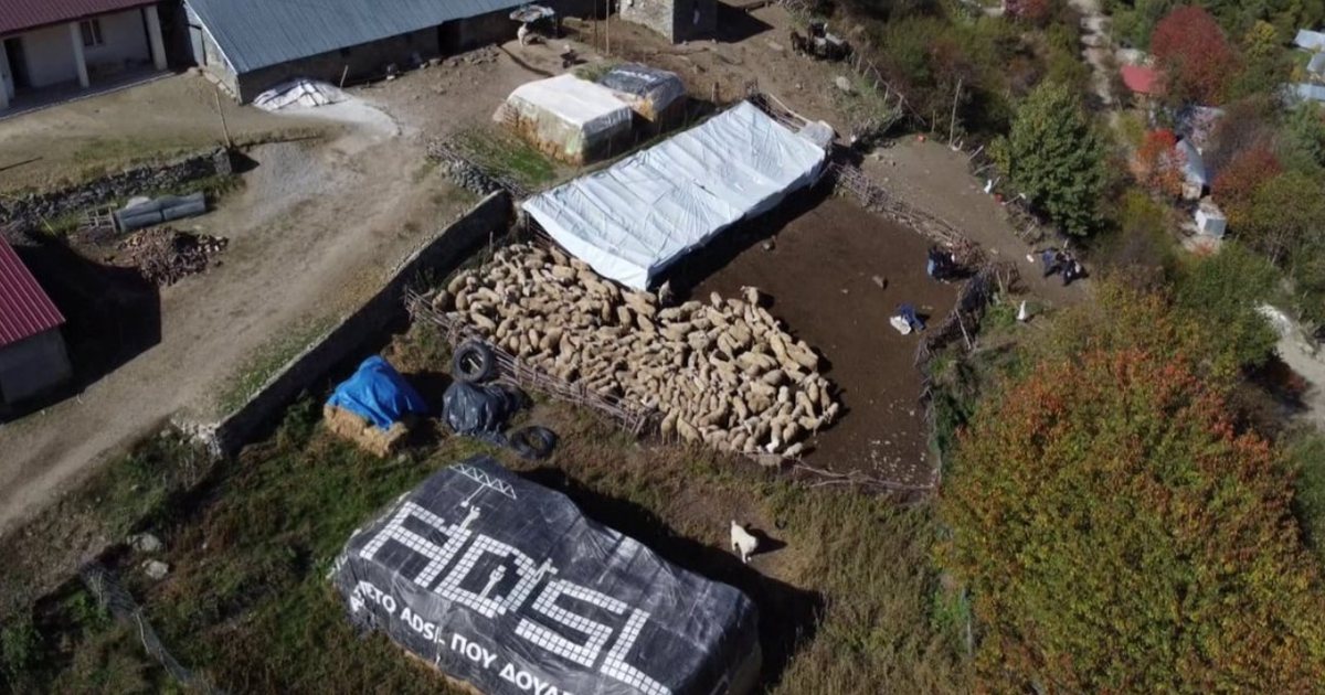 Shfaqet afta epizootike në Greqi  Shqipëria ndalon importin e kafshëve  sëmundja nuk ka kurë