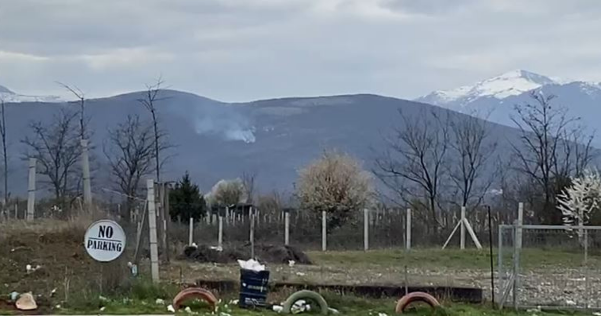 Përfshihet nga zjarri masivi pyjor te  Suka e Mamëzit  në Kukës  era favorizon përhapjen e flakëve