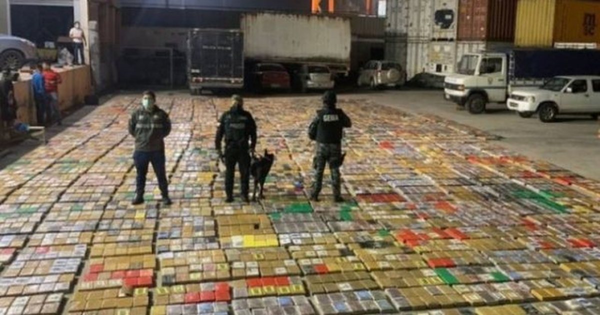  Tentakulat  e mafies shqiptare në Meksikë  pastrojnë paratë e Sinaloas në kazino dhe aleanca me  El Mayo 