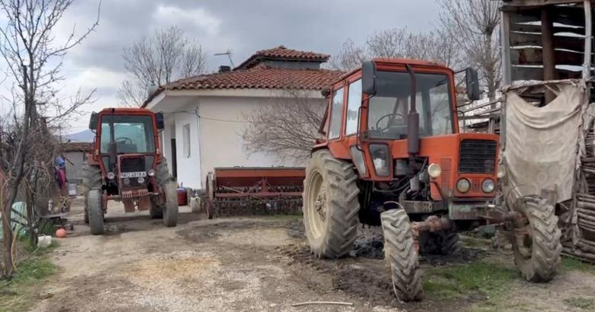 Nafta paralizon bujqësinë  fermerët rikthehen tek kuajt në kulmin e të mbjellave  S kemi mundësi të blejmë karburant