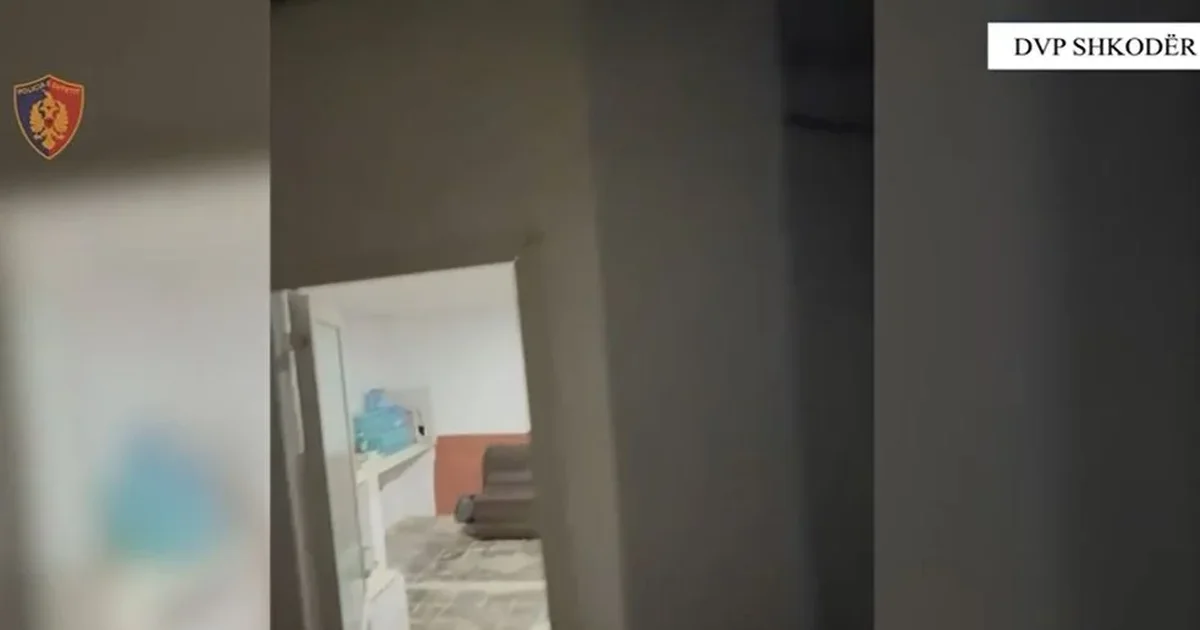 Kishte kthyer lokalin në  qendër  lojëra fati  arrestohet 30 vjeçari në Fushë Arrëz  2 të tjerë në kërkim