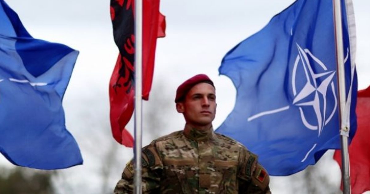 Rekord për vendet e NATO s  Sondazhi  69  e shqiptarëve të gatshëm për të luftuar në mbrojtje të atdheut